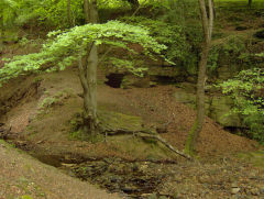 Nant-y-Ddraenog drainage level, Cwmfelinfach, May 2009